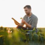 Young farmer in soybean fields.